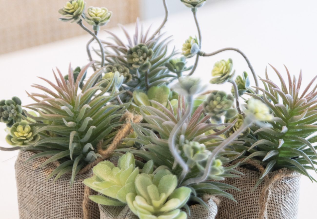 Apartamento en Playa de Gandía -  57. AG EDEN RESORT 11/2/1. Apartamento nuevo en complejo único, Aire Acondicinado, WIFI GRATIS, Padel. Ideal para familias-ALQUILER SOLO FAMILIAS