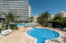 Apartamento en Playa de Gandía - Piscina CLIMATIZADA, Decorado en estilo moderno, con wifi gratis, 5 piscinas, Padel-ALQUILER SOLO FAMILIAS