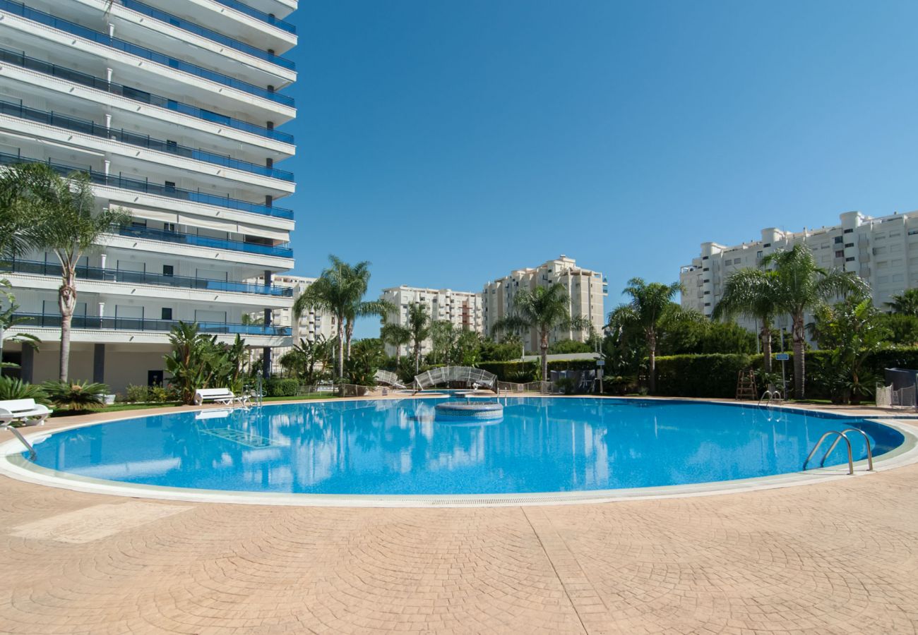 Apartamento en Playa de Gandía - Apartamento con piscinas / wifi / BBQ. Moderna decoración. Ideal para familias.-ALQUILER SOLO FAMILIAS