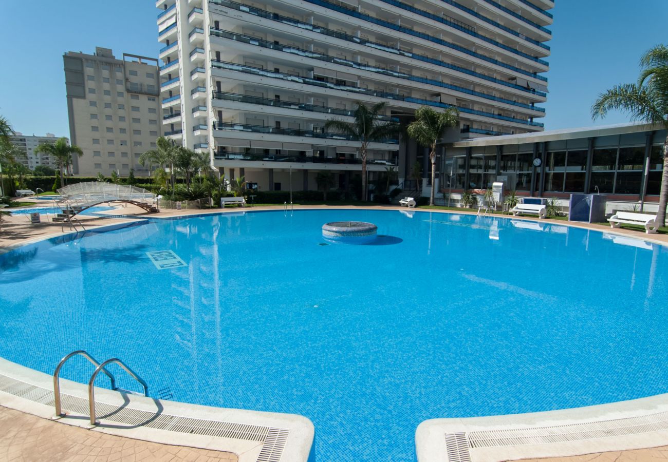 Apartamento en Playa de Gandía - Apartamento con piscinas / wifi / BBQ. Moderna decoración. Ideal para familias.-ALQUILER SOLO FAMILIAS
