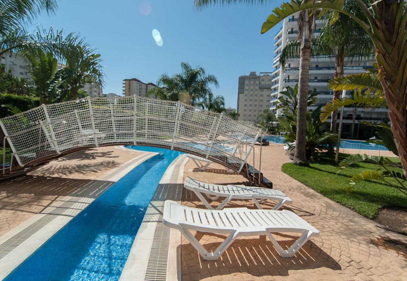 Apartamento en Playa de Gandía - Apartamento con piscinas / wifi / BBQ. Moderna decoración. Ideal para familias.-ALQUILER SOLO FAMILIAS