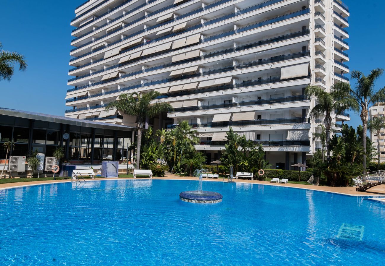 Apartamento en Playa de Gandía - Apartamento con moderna decoración. - SOLO FAMILIAS 
