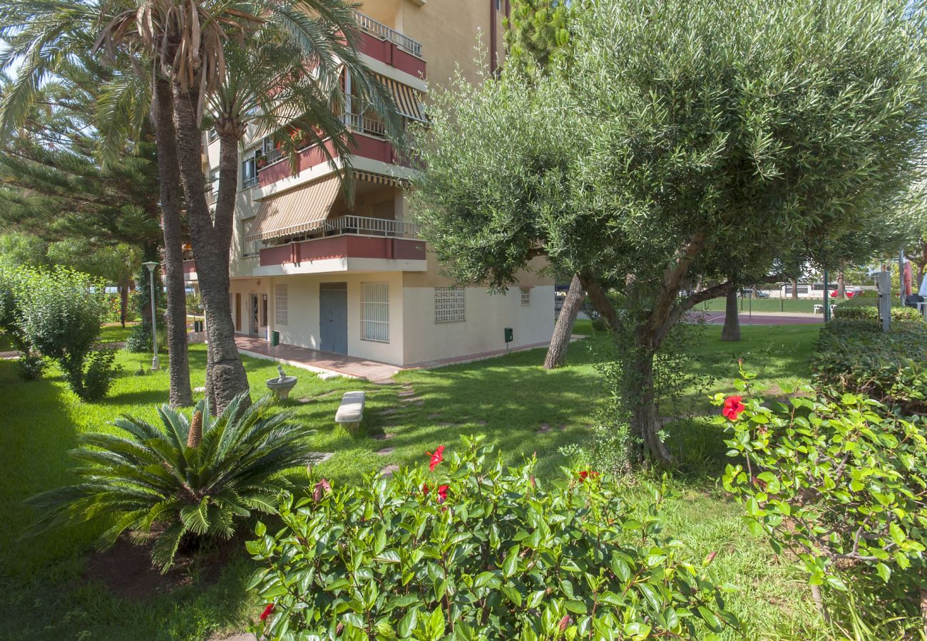 Apartamento en Playa de Gandía - Super apartamento con estilo mediterráneo con las máximas calidades.