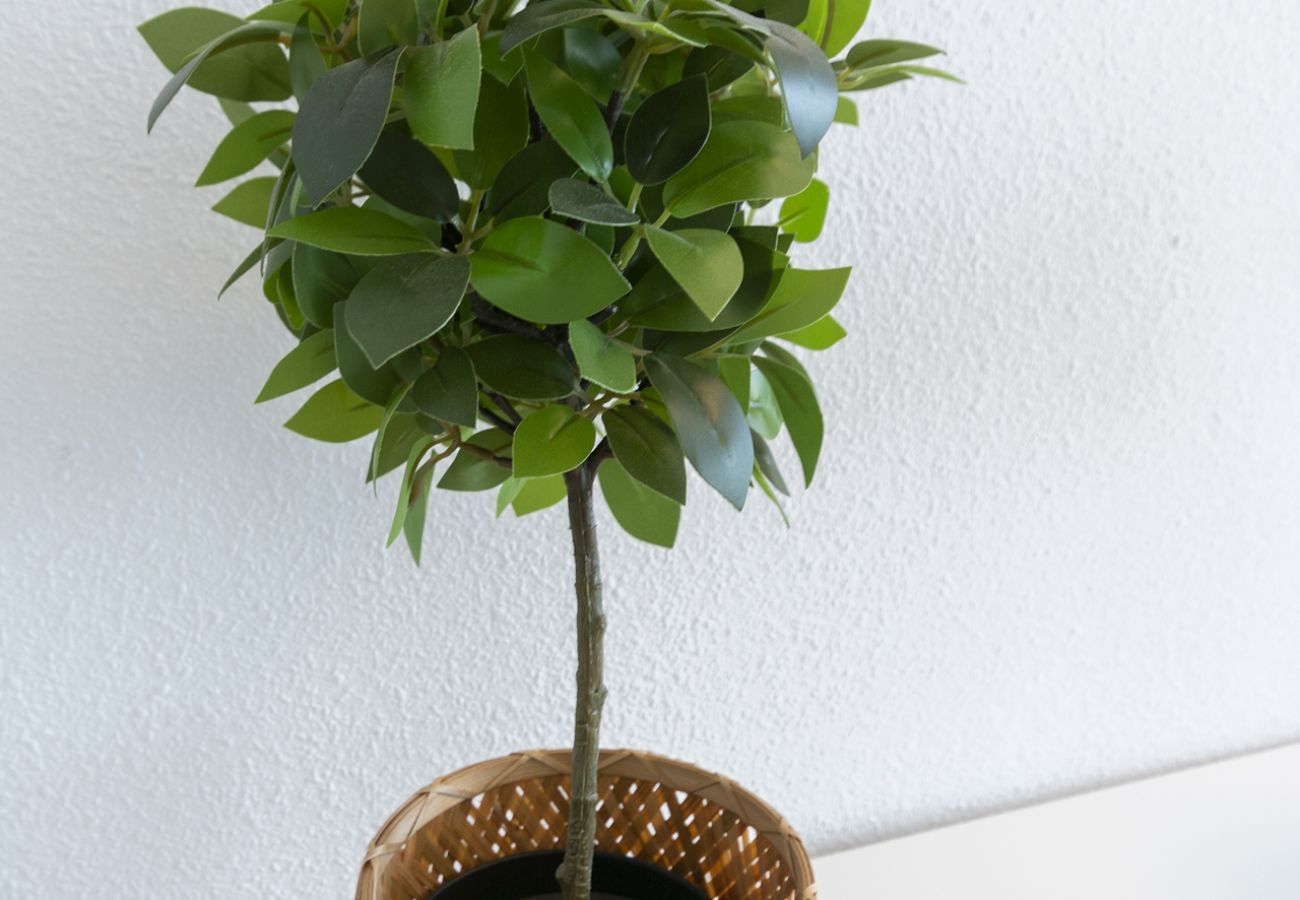 Apartamento en Playa de Gandía - Super apartamento con estilo mediterráneo con las máximas calidades.