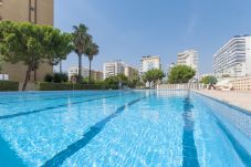 Apartamento en Playa de Gandía - Super apartamento con estilo mediterráneo con las máximas calidades.