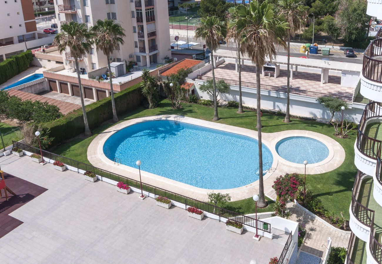 Apartamento en Playa de Gandía - Bonita propiedad de 3 dormitorios. Piscina. TV satelite. Wifi-ALQUILER SOLO FAMILIAS