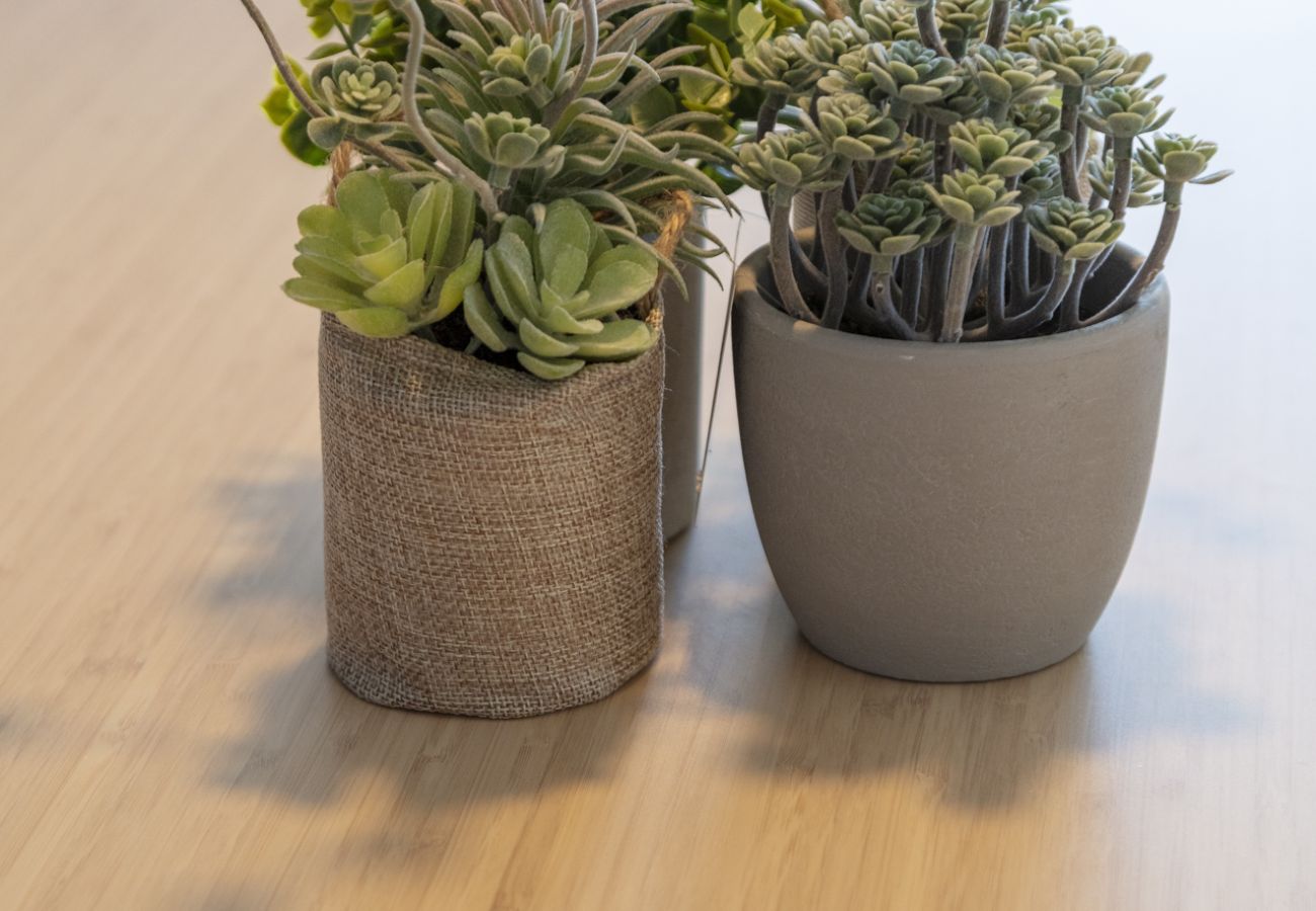 Apartamento en Playa de Gandía - Fabuloso apartamento en 1ª línea de playa. SOLO FAMILIAS