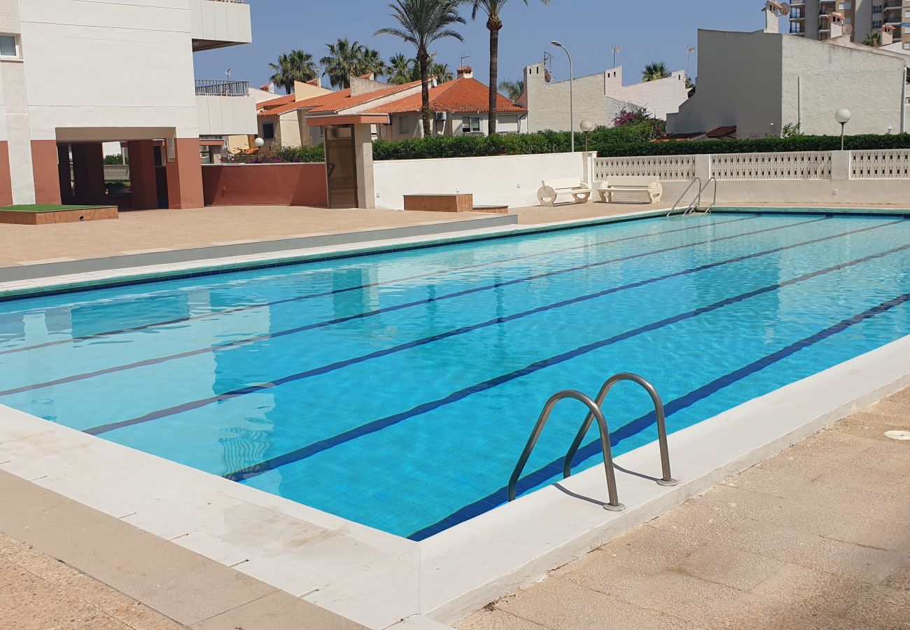 Apartamento en Playa de Gandía - Apartamento frente a la playa para familias en Gandía-ALQUILER SOLO FAMILIAS Apartamento en Playa de Gandía - Apartamento frente a la playa para familias en Gandía-ALQUILER SOLO FAMILIAS
