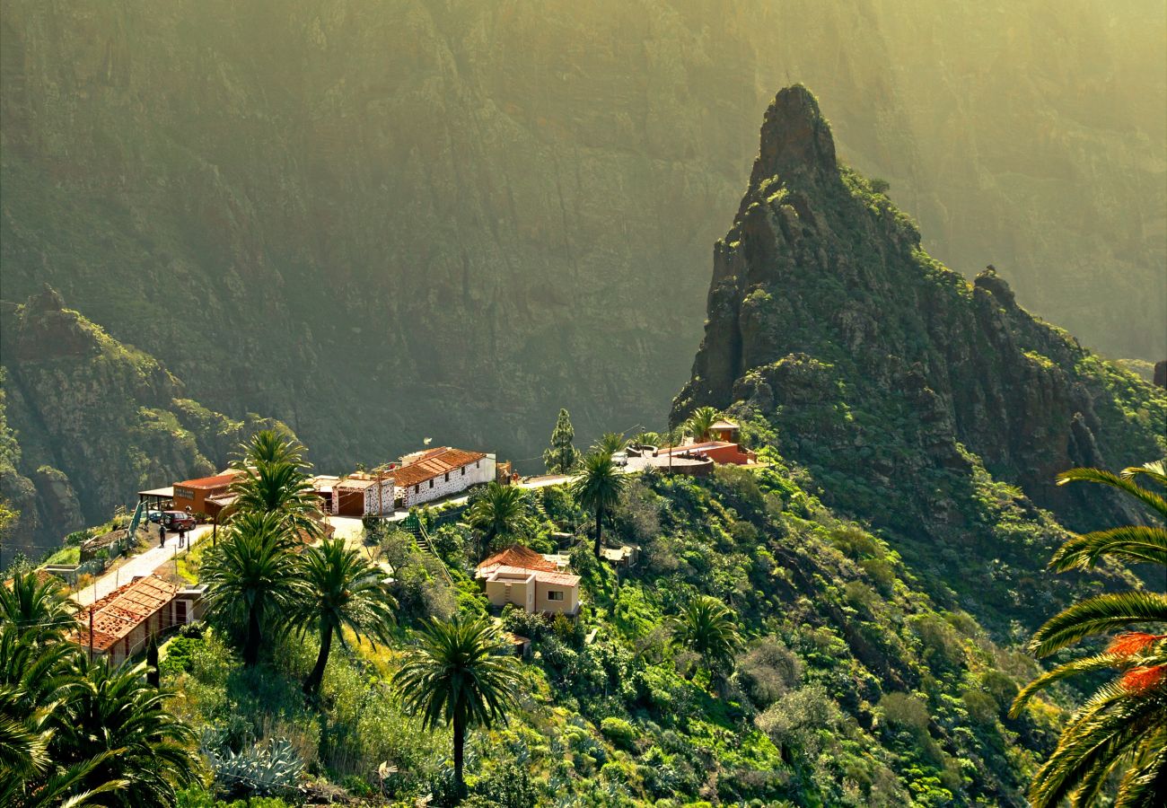 Apartamento en Santa Cruz de Tenerife - Urban Bliss Santa Cruz