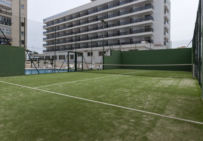Apartamento en Playa de Gandía - Loft de lujo frontal al mar con 3 habitaciones suites con 190m2, garaje, WIFI alta velocidad: Fibra 300mbs-ALQUILER SOLO FAMILIAS Apartamento en Playa de Gandía - Loft de lujo frontal al mar con 3 habitaciones suites con 190m2, garaje, WIFI alta velocidad: Fibra 300mbs-ALQUILER SOLO FAMILIAS