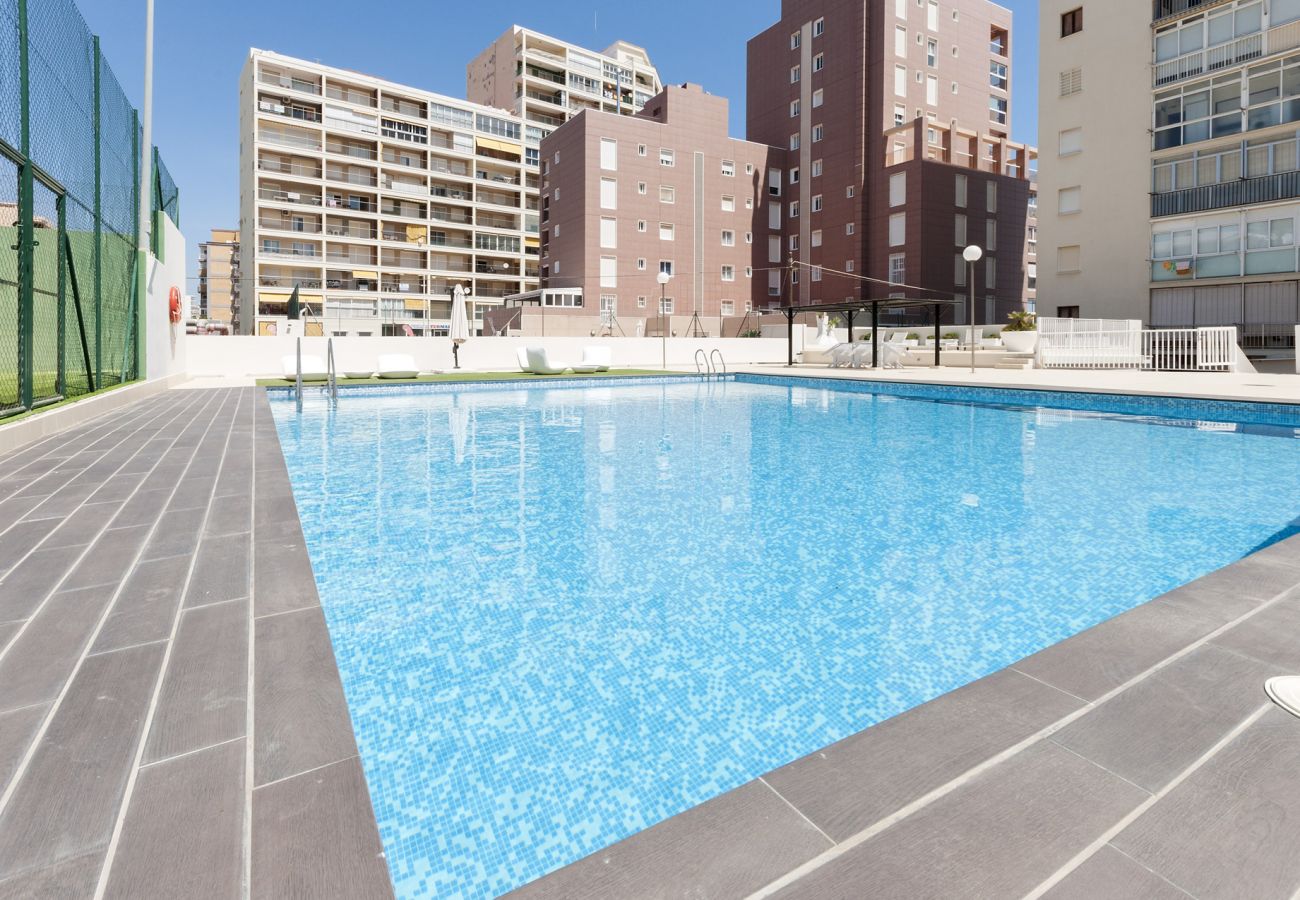 Apartamento en Playa de Gandía - Loft de lujo frontal al mar con 3 habitaciones suites con 190m2, garaje, WIFI alta velocidad: Fibra 300mbs-ALQUILER SOLO FAMILIAS Apartamento en Playa de Gandía - Loft de lujo frontal al mar con 3 habitaciones suites con 190m2, garaje, WIFI alta velocidad: Fibra 300mbs-ALQUILER SOLO FAMILIAS
