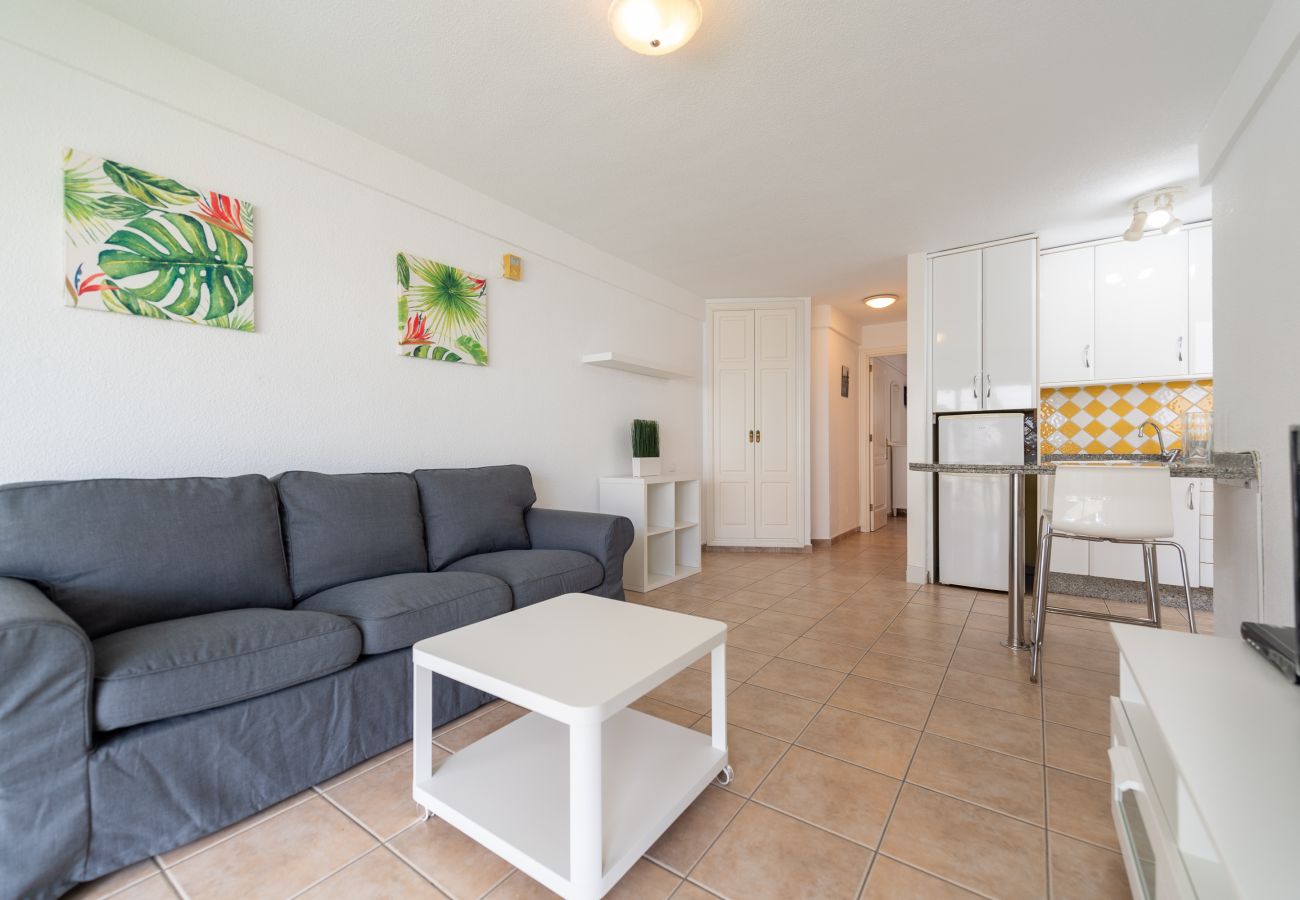 Apartamento en San Bartolomé de Tirajana - Las Adelfas South Beach 2 by CanariasGetaway