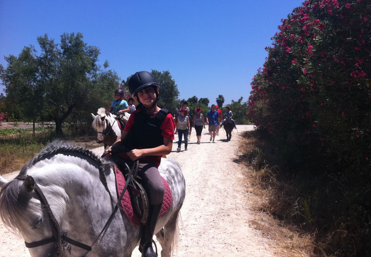Apartamento en Playa de Gandía - Decorado en estilo moderno, con wifi, en frente del mar-ALQUILER SOLO FAMILIAS
