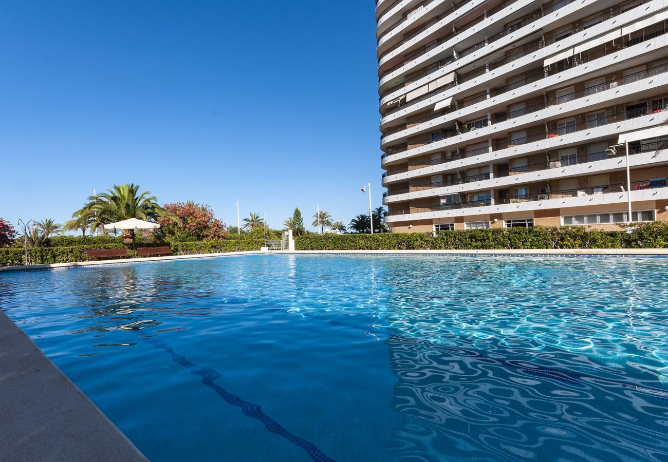 Apartamento en Playa de Gandía - Espectacular apartamento con increíbles vistas. Reformado.-ALQUILER SOLO FAMILIAS