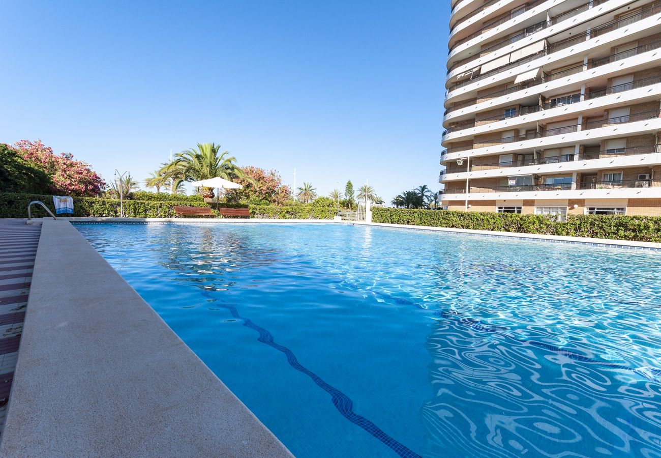 Apartamento en Playa de Gandía - Espectacular apartamento con increíbles vistas. Reformado.-ALQUILER SOLO FAMILIAS