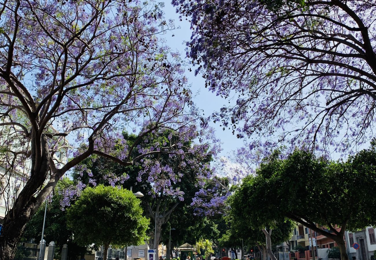 Apartamento en Santa Cruz de Tenerife - HomeForGuest Design Attic Apartment, FREE parking