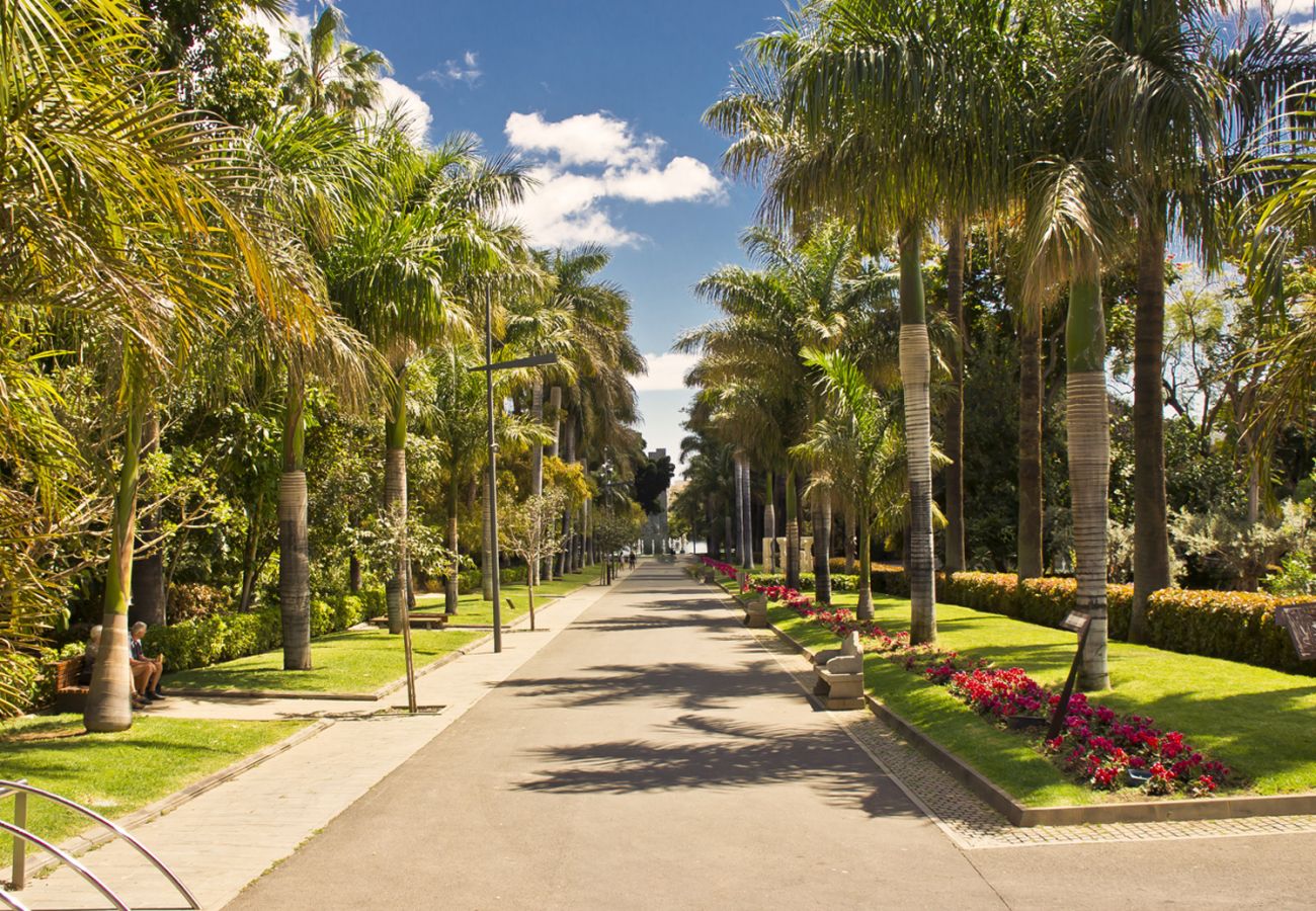 Apartamento en Santa Cruz de Tenerife - HomeForGuest Design Attic Apartment, FREE parking