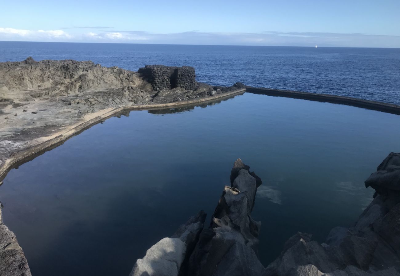 Apartamento en Arico - HomeForGuest NextDoor Oasis: frente al mar, terraza, piscina natural- HomeForGuest