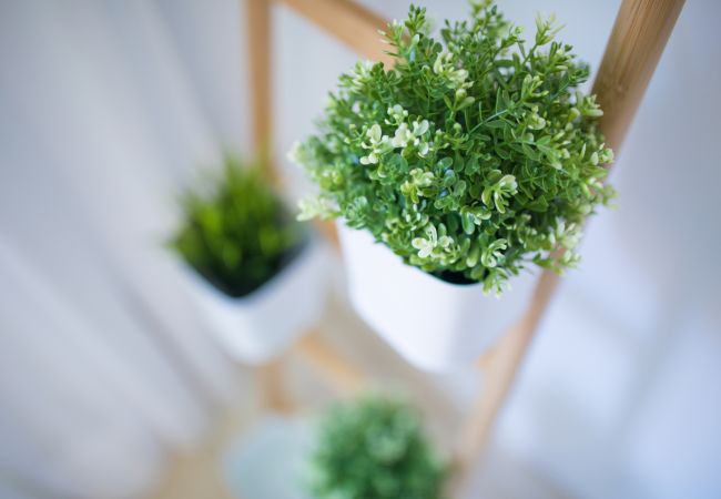 Casa en Las Palmas de Gran Canaria -  Ferreras Canteras Home By CanariasGetaway Casa en Las Palmas de Gran Canaria -  Ferreras Canteras Home By CanariasGetaway