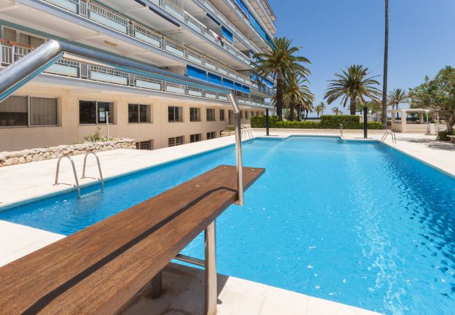 Apartamento en Playa de Gandía - PRECIOSO APARTAMENTO SITUADO EN PRIMERA LÍNEA DE PLAYA-Alquiler SOLO FAMILIAS