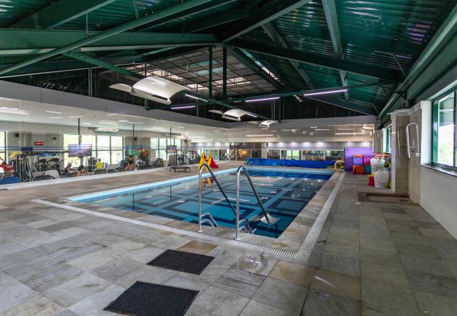 Alquiler por habitaciones en Rio de Janeiro - Pineapples BPremium T5 | BPremium T5  Alquiler por habitaciones en Rio de Janeiro - Pineapples BPremium T5 | BPremium T5