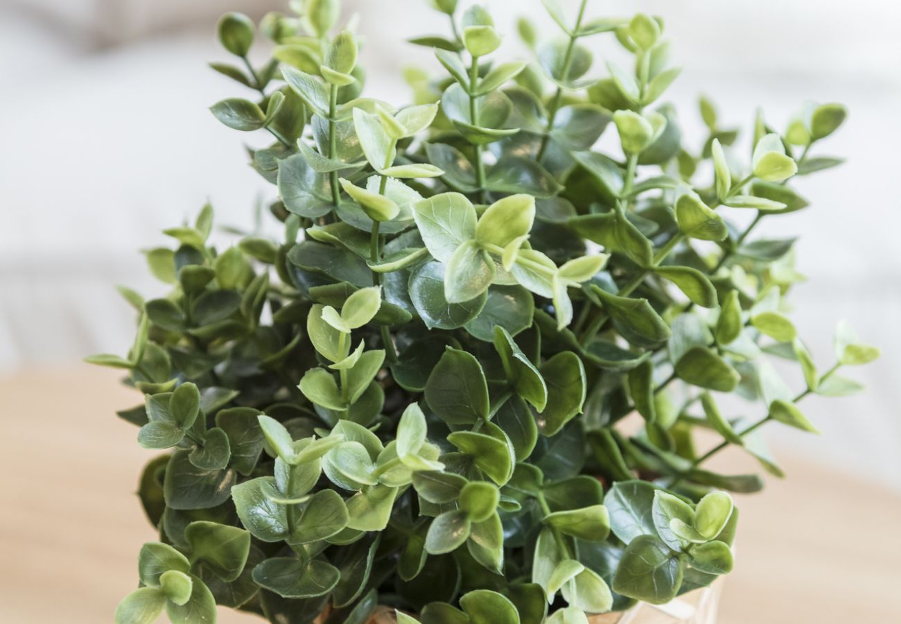 Apartamento en Playa de Gandía - Elegante Apartamento familiar de 2 dormitorios. Wifi-acaciones inolvidables frente al mar. Buen wifi para teletrabajo. -ALQUILER SOLO FAMILIAS