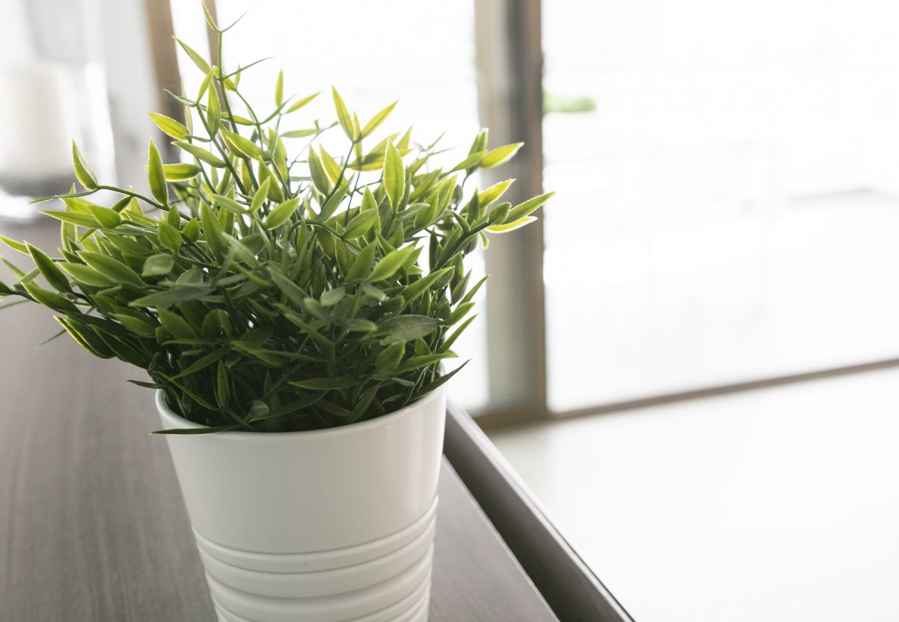 Apartamento en Playa de Gandía - LUJOSO DÚPLEX SOLO FAMILIAS PRIMERA LÍNEA DE PLAYA - alquiler solo familias