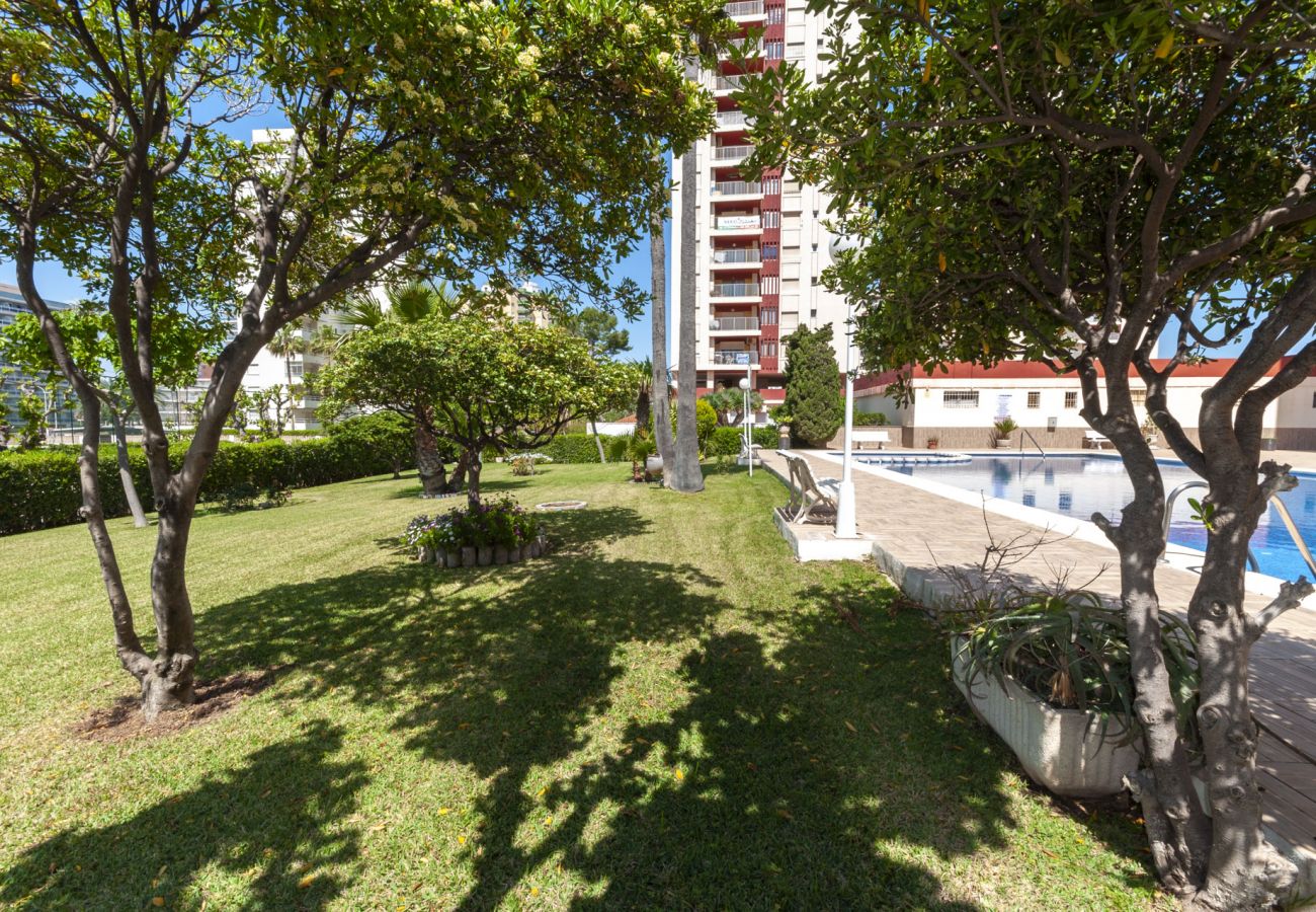 Apartamento en Playa de Gandía - Vacaciones inolvidables frente al mar. Todo reformado. SOLO FAMILIAS