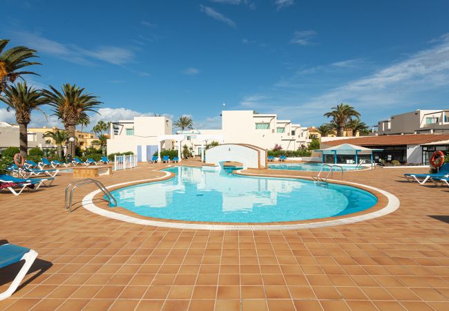 Apartamento en Corralejo - HomeForGuest Apartamento 15 con terraza y piscina en Corralejo