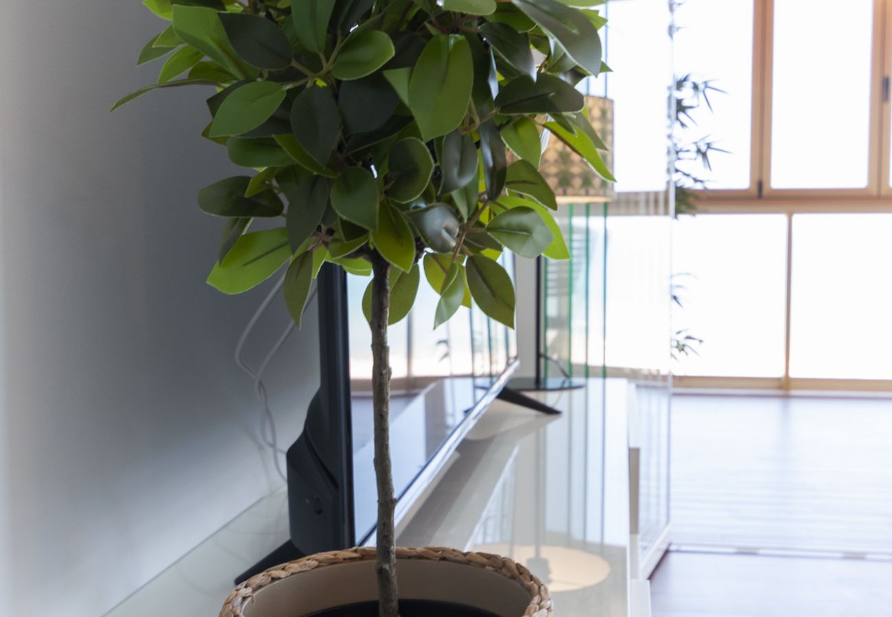 Apartamento en Playa de Gandía - Maravilloso Apartamento Frontal al Mar-ALQUILER SOLO FAMILIAS