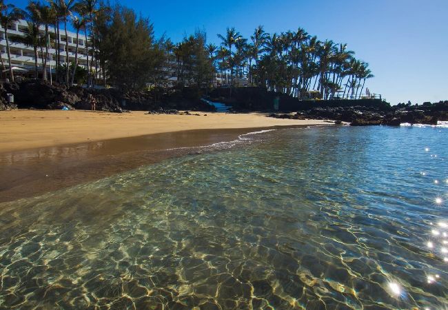 Estudio en Puerto del Carmen - ZOE; dos camas, TV, WIFI, cocina equipada, baño, piscina y solarium  Estudio en Puerto del Carmen - ZOE; dos camas, TV, WIFI, cocina equipada, baño, piscina y solarium