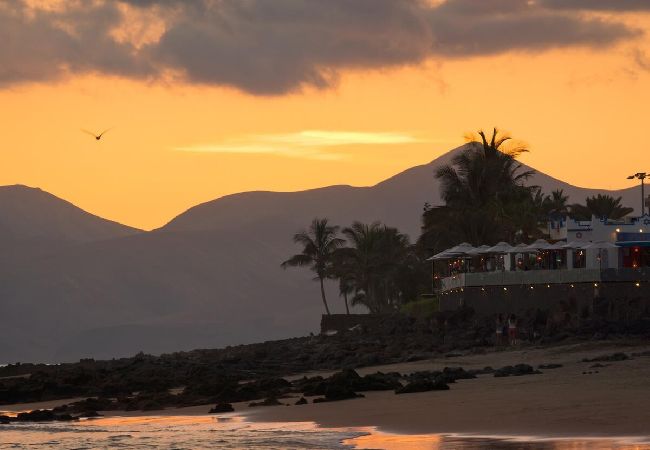 Apartamento en Puerto del Carmen - Apartamento El Timple Pto del Carmen  Apartamento en Puerto del Carmen - Apartamento El Timple Pto del Carmen