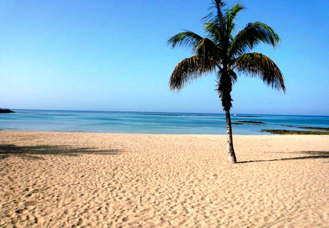 Apartamento en Arrecife - Casa Fife | Inmenso dúplex frente al mar Apartamento en Arrecife - Casa Fife | Inmenso dúplex frente al mar