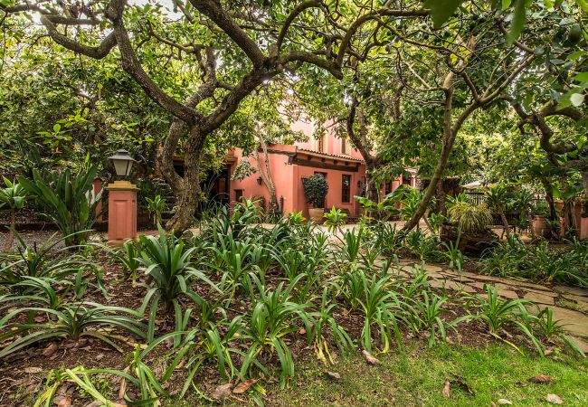 Apartamento en Tacoronte - HomeForGuest Acogedor apartamento rural El Romero con amplios jardines Apartamento en Tacoronte - HomeForGuest Acogedor apartamento rural El Romero con amplios jardines