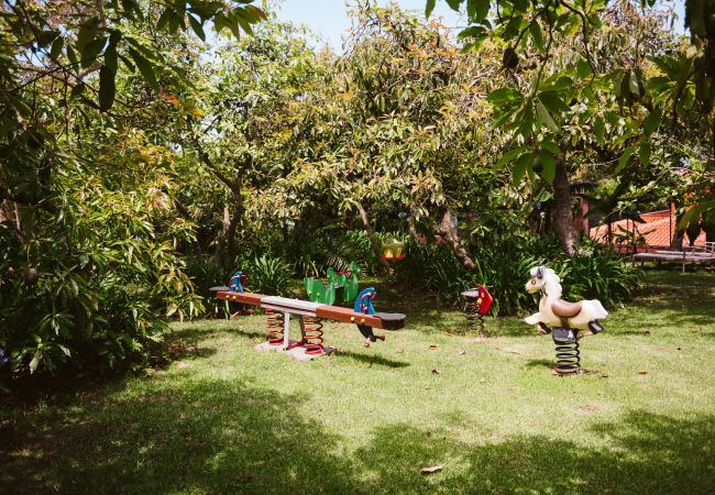 Casa rural en Tacoronte - HomeForGuest Casa Rural El Laurel con terraza y amplios jardines Casa rural en Tacoronte - HomeForGuest Casa Rural El Laurel con terraza y amplios jardines