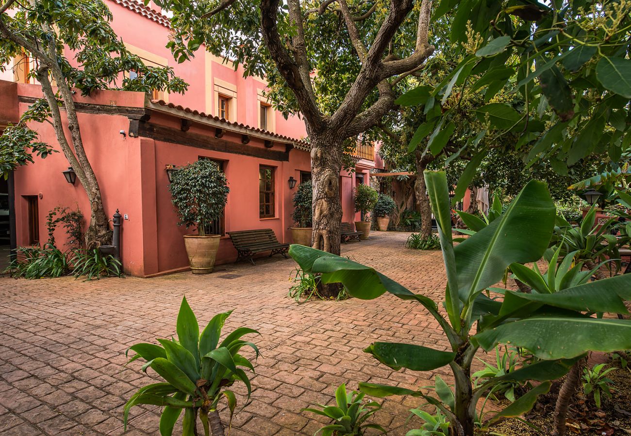 Casa rural en Tacoronte - HomeForGuest Casa Rural El Laurel con terraza y amplios jardines Casa rural en Tacoronte - HomeForGuest Casa Rural El Laurel con terraza y amplios jardines
