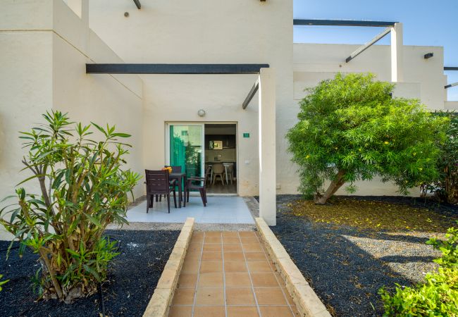 Apartamento en Corralejo - Moderno Apartamento. Piscina y a pie de playa. Corralejo  Apartamento en Corralejo - Moderno Apartamento. Piscina y a pie de playa. Corralejo