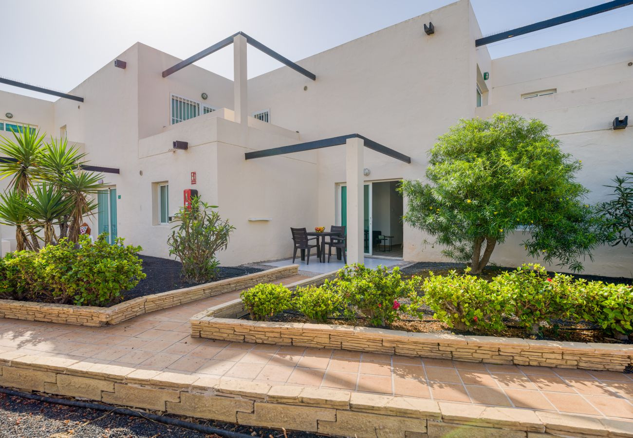 Apartamento en Corralejo - Moderno Apartamento. Piscina y a pie de playa. Corralejo 