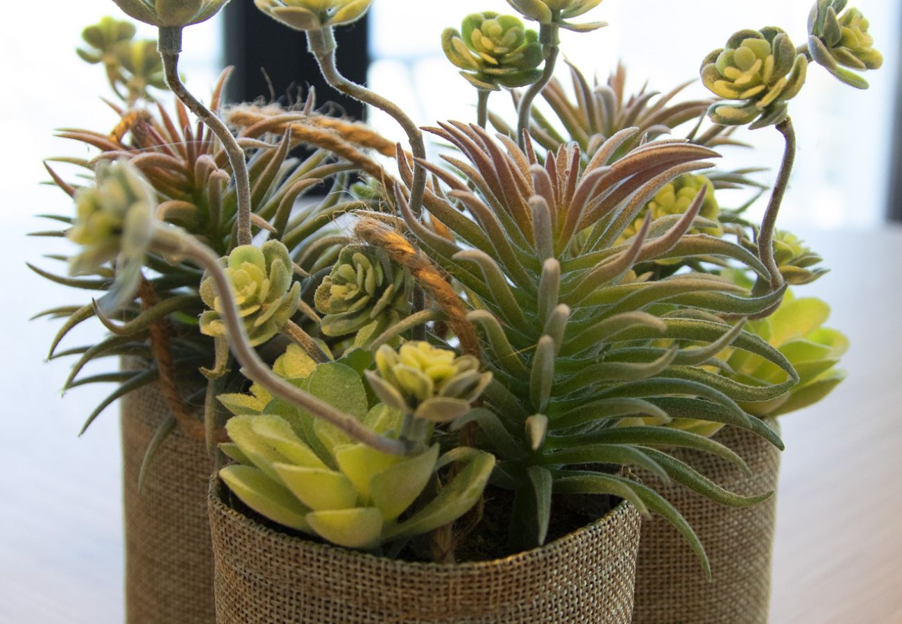 Apartamento en Playa de Gandía - Apartamento a estrenar a escasos metros del Mar-ALQUILER SOLO FAMILIAS