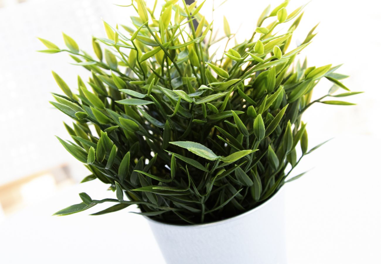 Apartamento en Playa de Gandía - Apartamento a estrenar a escasos metros del Mar-ALQUILER SOLO FAMILIAS