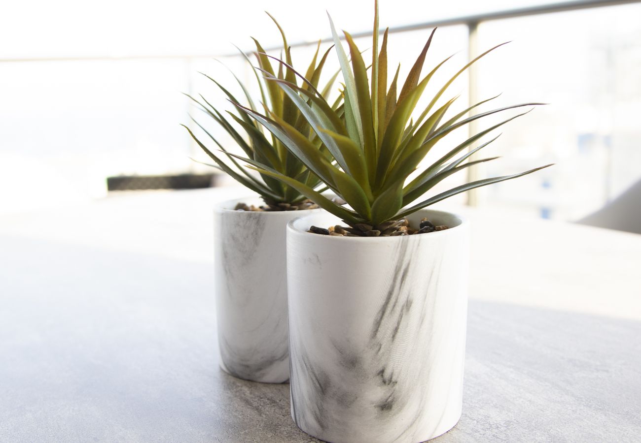 Apartamento en Playa de Gandía - Apartamento a estrenar a escasos metros del Mar-ALQUILER SOLO FAMILIAS