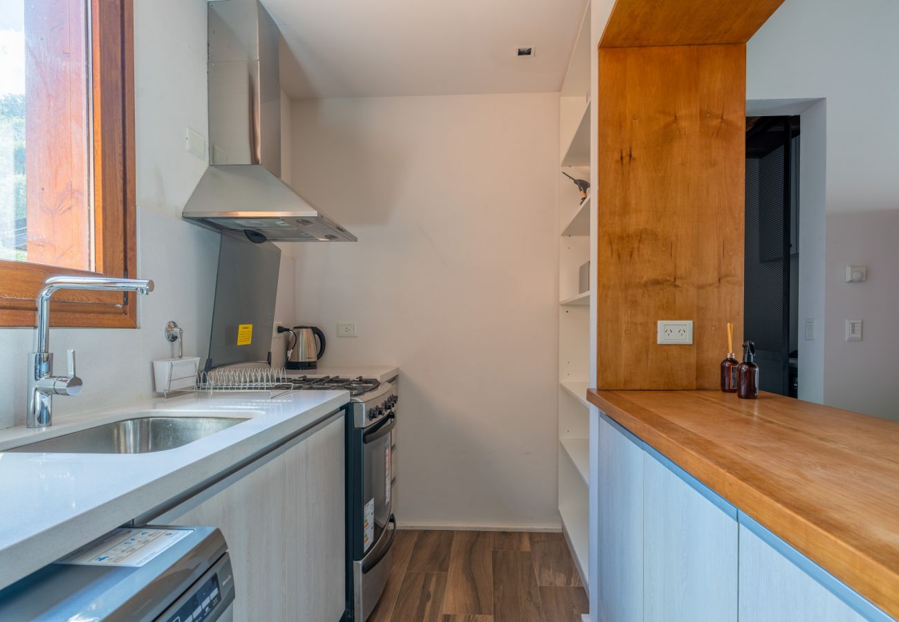 Apartamento en San Carlos de Bariloche - LENGA 2 B Vista al lago, playa y pileta