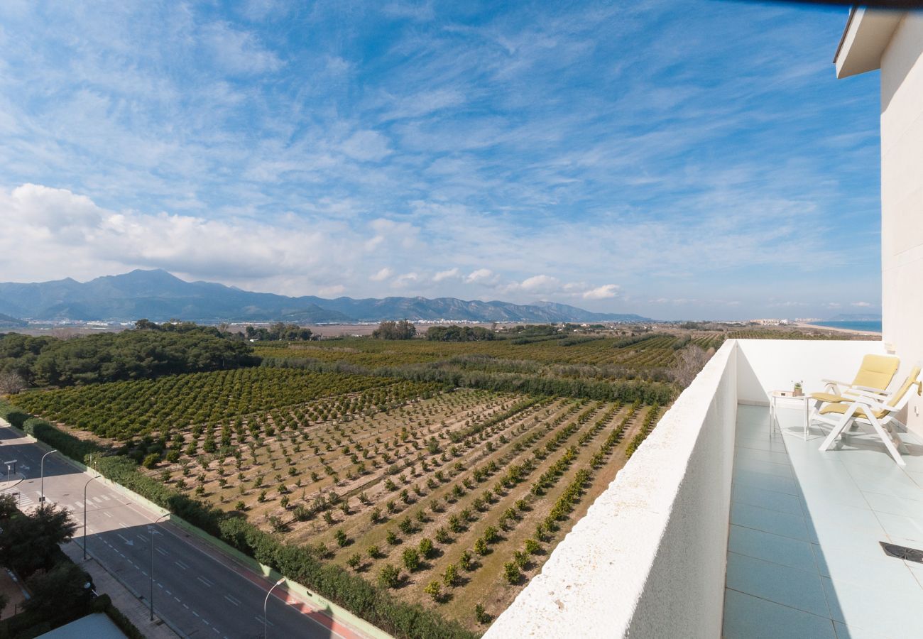 Apartamento en Playa de Gandía - AIGUABLAVA 8-7