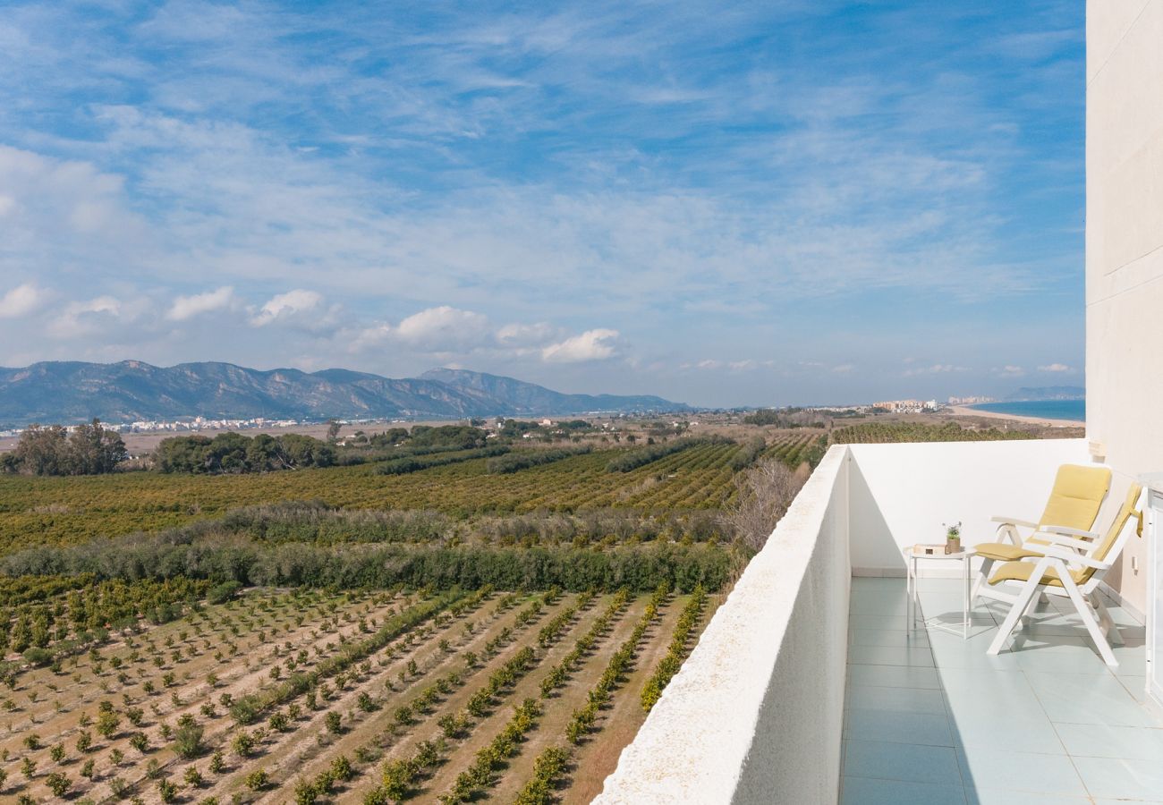 Apartamento en Playa de Gandía - AIGUABLAVA 8-7