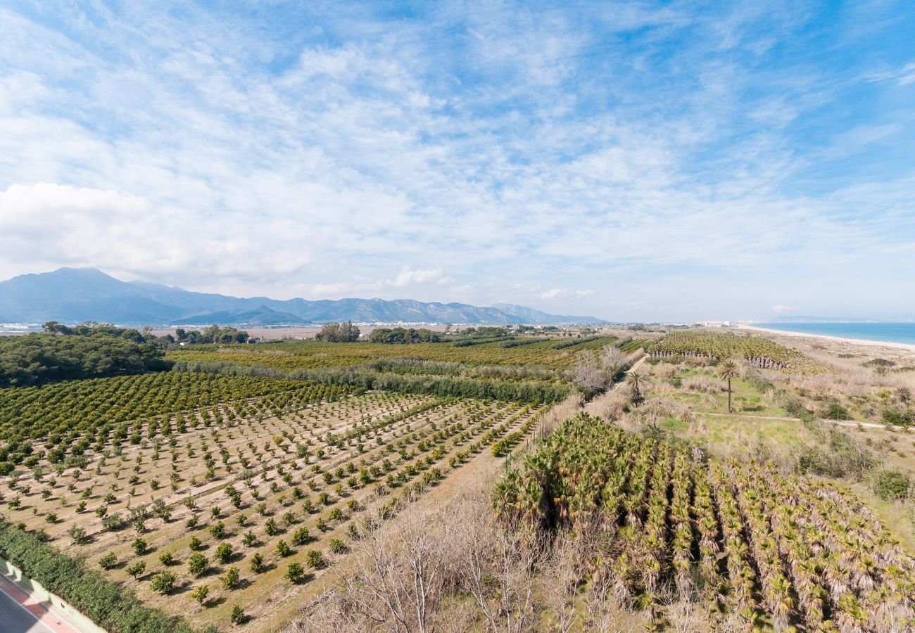 Apartamento en Playa de Gandía - AIGUABLAVA 8-7