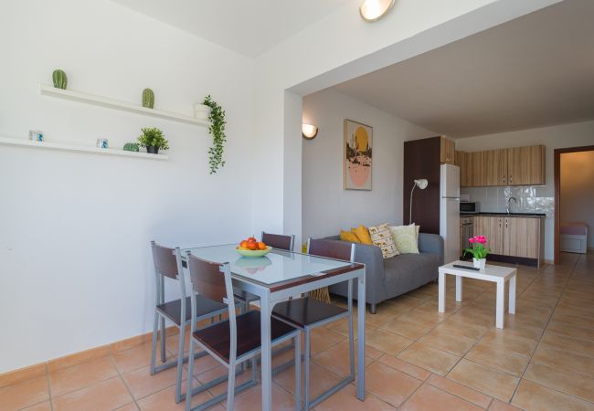 Apartamento en Antigua - Fuerteventura - HomeForGuest Amplio apartamento con terraza y piscina Apartamento en Antigua - Fuerteventura - HomeForGuest Amplio apartamento con terraza y piscina