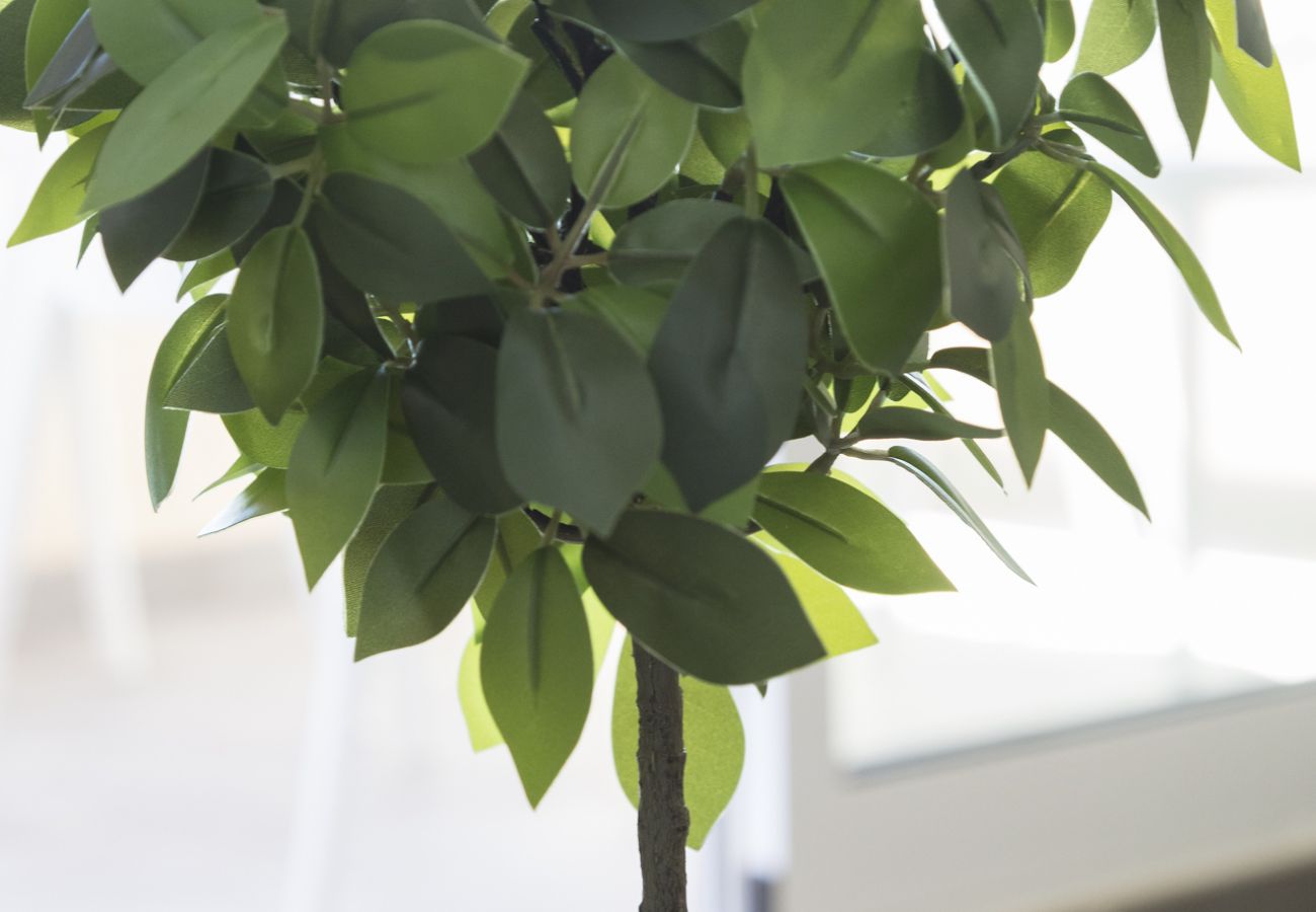 Apartamento en Playa de Gandía - Fabuloso apartamento reformado con vistas al mar. SOLO FAMILIAS