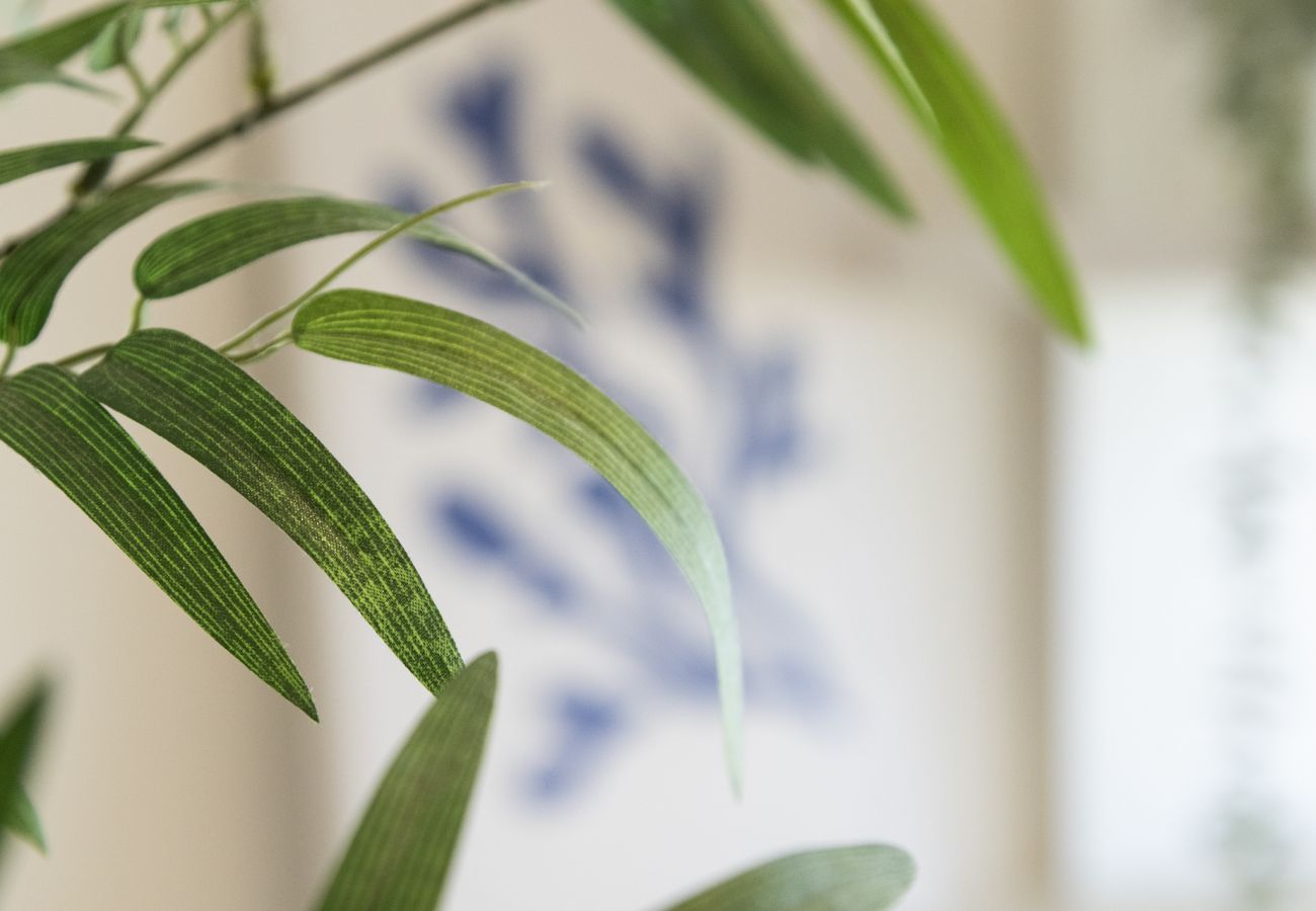 Apartamento en Playa de Gandía - Vacaciones de lujo en Apartamentos Bermudas a pie de playa