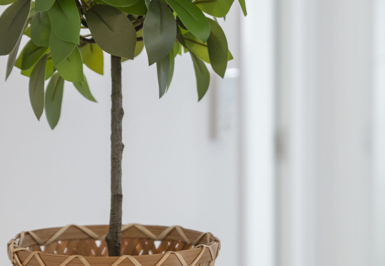 Apartamento en Playa de Gandía - VORAMAR II