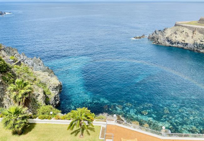 Estudio en Icod de los Vinos - Blue Monis with Amazing Views